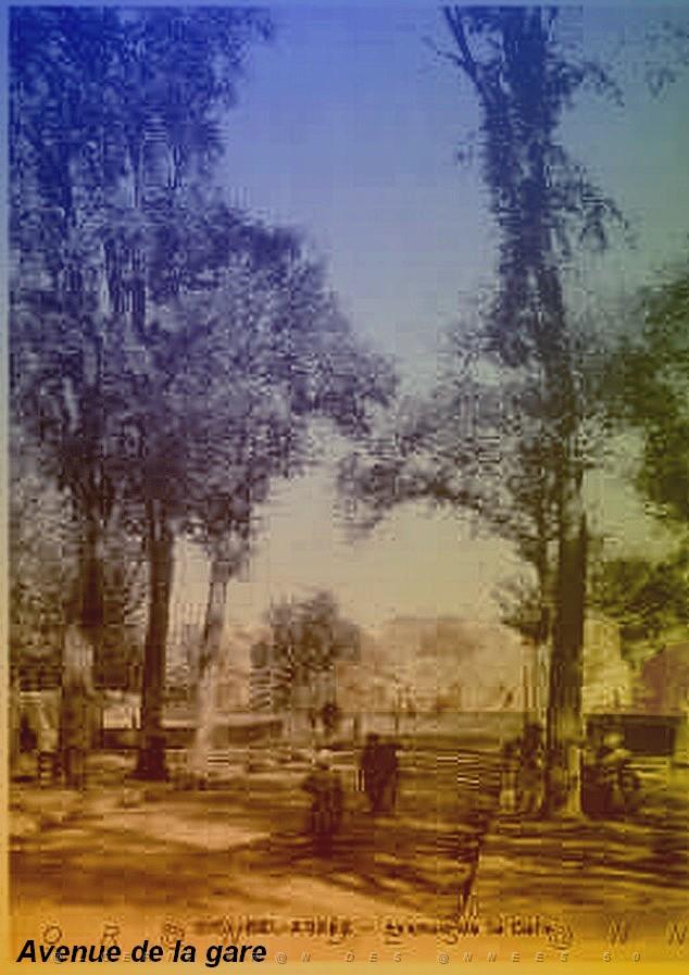 SIDI BEL ABBES SIDI BEL ABBES AVENUE DE LA GARE.jpg